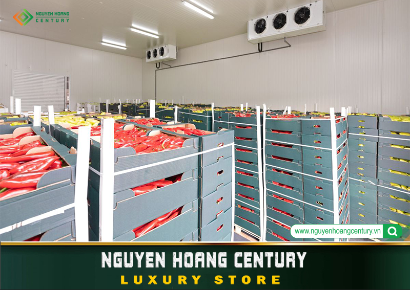 Hệ thống kho lạnh bảo quản thực phẩm tại Nguyễn Hoàng.