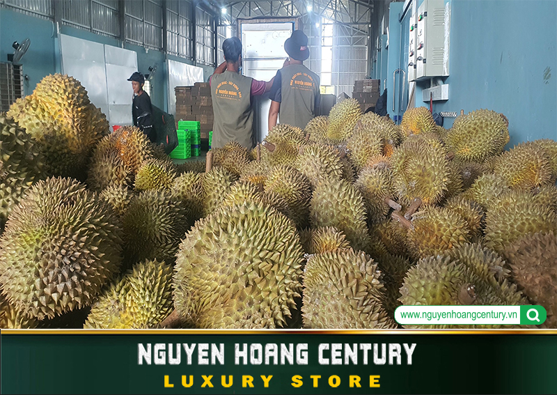 Kho lạnh Nguyễn Hoàng - Nhà thầu Nguyễn HOàng