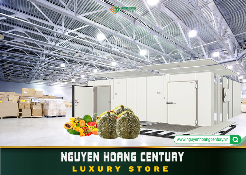 Nhà xưởng xây dựng nhà xưởng